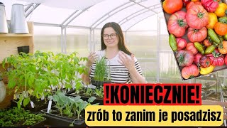 HARTOWANIE ROZSAD  ZRÓB TO ZANIM WSADZISZ SADZONKI JAK UPRAWIAĆ POMIDORY UPRAWA WARZYW [upl. by Zink]