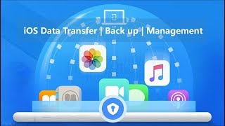 DearMob iPhone Manager Tutorial – iOSiPadOS Data Back up and Transfer Made Easy [upl. by Anade]