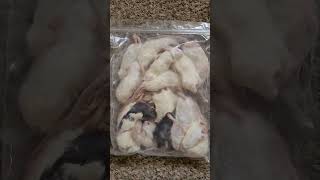 RODENT PRO UNBOXING AND SIZES [upl. by Harriett]