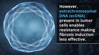 Nanoparticles Clear EcDNA to Boost Tumor Fibrosis and Enhance Cancer Therapy [upl. by Hgielar502]