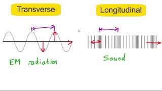 Transverse vs longitudinal waves [upl. by Adis]