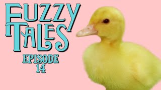 Fuzzy Tales  Ep 14  Old Macdonald Sing a Song  Spooky Tale of Patricia Rabbit  Pupocchio [upl. by Jueta]