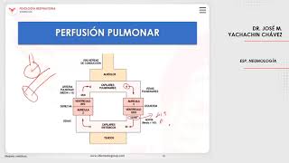 VILLAMEDIC  Fisiología respiratoria Ventilación [upl. by Slaby]