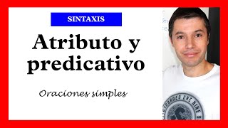 El atributo y el predicativo  Sintaxis complementos del verbo [upl. by Nosnirb141]