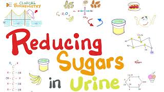 Why is there Sugar in my urine Glucosuria Fructosuria  Reducing Sugars in urine  Biochemistry [upl. by Harrak506]