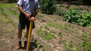 Home made hand seeder garden update bear at chicken coop Link to buy [upl. by Virgel932]