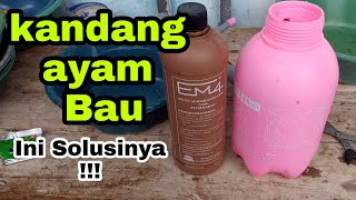 Cara Menghilangkan Bau Kotoran dan Lalat Di Kandang Ayam menggunakan EM4 [upl. by Ecnahc]