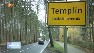 Templin 80 der Asylbewerber brechen ihre Praktika ab 19022016 ZDFMorgenmagazin mom [upl. by Soisanahta]