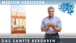 Neuroanatomie der sanften Berührung│Dr Dr Damir del Monte│Encephalon MedizinVideos bei Lecturio [upl. by Pelagi]