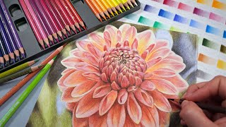 Blending Colored Pencils With Solvents  How To Do It Right [upl. by Belsky]