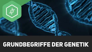 Grundbegriffe der Genetik [upl. by Secunda]