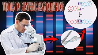 Tools in Genetic Engineering  STE  Biotechnology [upl. by Aklam808]