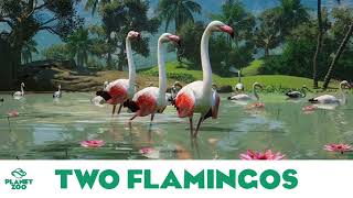 Planet Zoo Two Flamingos  Planet Zoo MusicBase Game [upl. by Isaiah245]