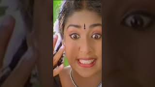 Vellithira Movie  Prithviraj Sukumaran  Navya Nair  Shorts [upl. by Niatsirk]