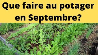 Que faire au potager en septembre au Nord de la France [upl. by Paryavi]