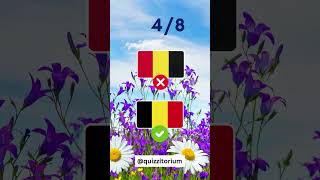 Guess The Correct Flags Quiz Game guesstheflagschallenge quiztime quizzitorium flagsquiz quiz [upl. by Ynej]