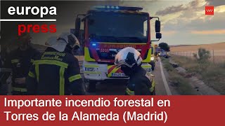 Importante incendio forestal en Torres de la Alameda Madrid [upl. by Laufer]