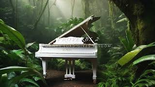 A Piano and the book of Proverbs [upl. by Enoed]