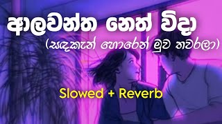 Alawantha Neth Wida  ආලවන්ත නෙත් විදා  Slowed  Reverb [upl. by Bat]