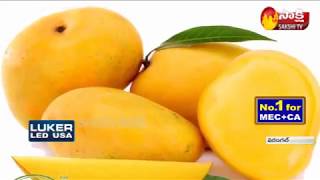 Traders use Chinese Ethylene Powder to Ripen Mangoes  Sakshi TV [upl. by Itoc]