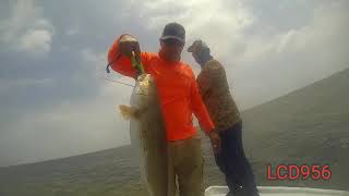 Arroyo City TX redfish fishing [upl. by Idaline451]