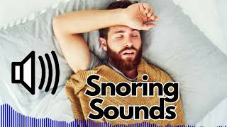 Snoring Sound Effects  No Copyright [upl. by Aicul193]