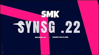 SMK SYNSG SYNERGY 208 SERIES 22 AIR RIFLE REVIEW [upl. by Naitsyrk652]