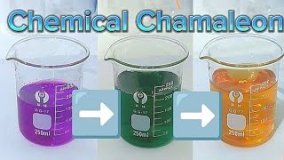 Recreating the chemical chameleon reaction [upl. by Robins]