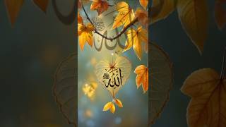 ek din matir bitor hobe gor re mon amarislamicvideo [upl. by Coray246]