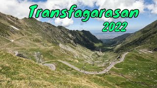 Transfagarasan Balea Lac Rhododendron video 4K 2022 [upl. by Illac568]