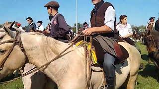 Cabalgando a quotLa Fiesta del Talar  2024quot desde la rotonda de Madariaga [upl. by Hite]