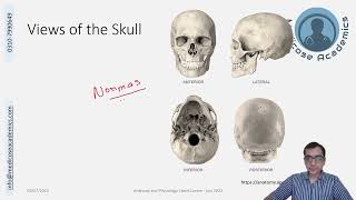 Skull Overview [upl. by Milak]