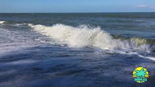 Waves in Slow Motion at DelnorWiggins Pass State Park  Naples FL [upl. by Hollis]