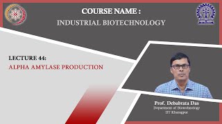 Lecture 44  Alpha Amylase Production [upl. by Siekram]