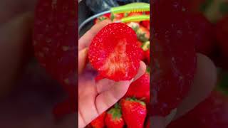 Eating Big Strawberries strawberry stroberi fruit eating beautiful nature buah big [upl. by Asikal]