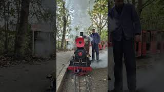 Remembrance Sunday honoured at Eastleigh Lakeside Railway railway [upl. by Aynos924]