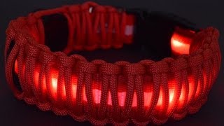 How to Wrap an LED Dog Collar with Paracord  BoredParacord [upl. by Nilekcaj]