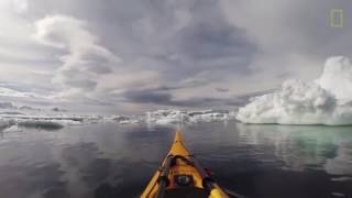 Paseo en kayak con pingüinos [upl. by Nagad]