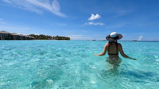 Vilamendhoo Island Resort and Spa  May 2021  snorkeling in the Maldives [upl. by Nileuqay641]