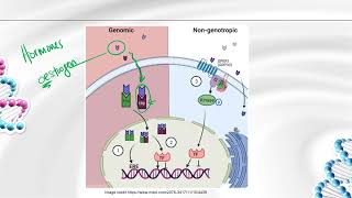 IB Biology D22 Gene expression  AHL [upl. by Ednihek267]