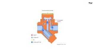 Fonctionnement en animation  Purgeur de vapeur à disque PowerDyne® [upl. by Steele46]