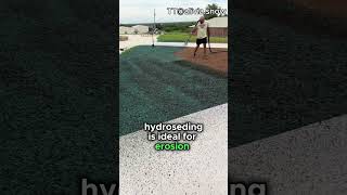 Hydroseeding The Grass Shorts [upl. by Shayla]