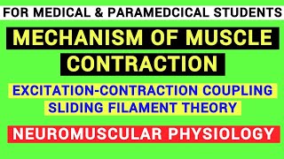 EXCITATION  CONTRACTION COUPLING  SLIDING FILAMENT THEORY  NEUROMUSCULAR SYSTEM  PHYSIOLOGY [upl. by Melville]