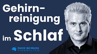 Gehirnreinigung im Schlaf  Glymphatisches System  Dr Dr Damir del Monte  Hirnwelten [upl. by Jerz962]