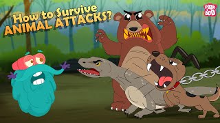 How to Survive Animal Attacks  Bear Dog Shark Komodo Dragon amp Giant Squid  The Dr Binocs Show [upl. by Naeerb]