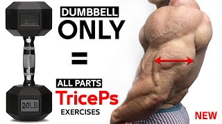 TRICEPS Exercises WITH DUMBBELLS AT HOME AND GYM [upl. by Ainigriv583]