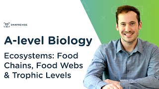 Ecosystems Food Chains Food Webs amp Trophic Levels  Alevel Biology  OCR AQA Edexcel [upl. by Htiek222]