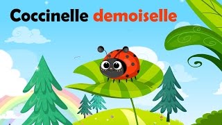 Coccinelle demoiselle bête à bon dieu  Comptine à gestes pour enfants et bébés avec les paroles [upl. by Daraj301]