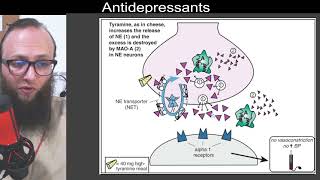 07 35  Inhibition of monoamine oxidase A MAOA and tyramine [upl. by Eiramlirpa]