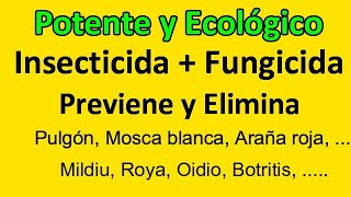 Tratamiento Ecológico Contra Insectos y Hongos [upl. by Levona]